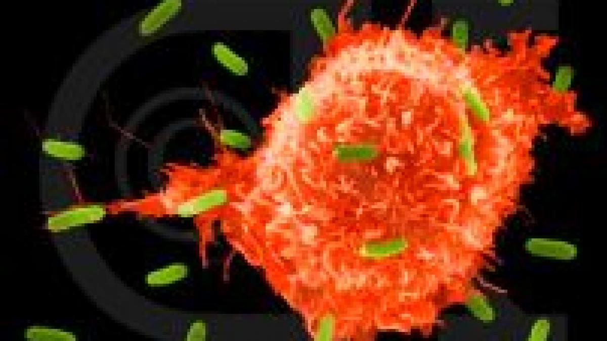 romania ocupa primul loc in europa in privinta mortalitatii in urma cancerului de col uterin