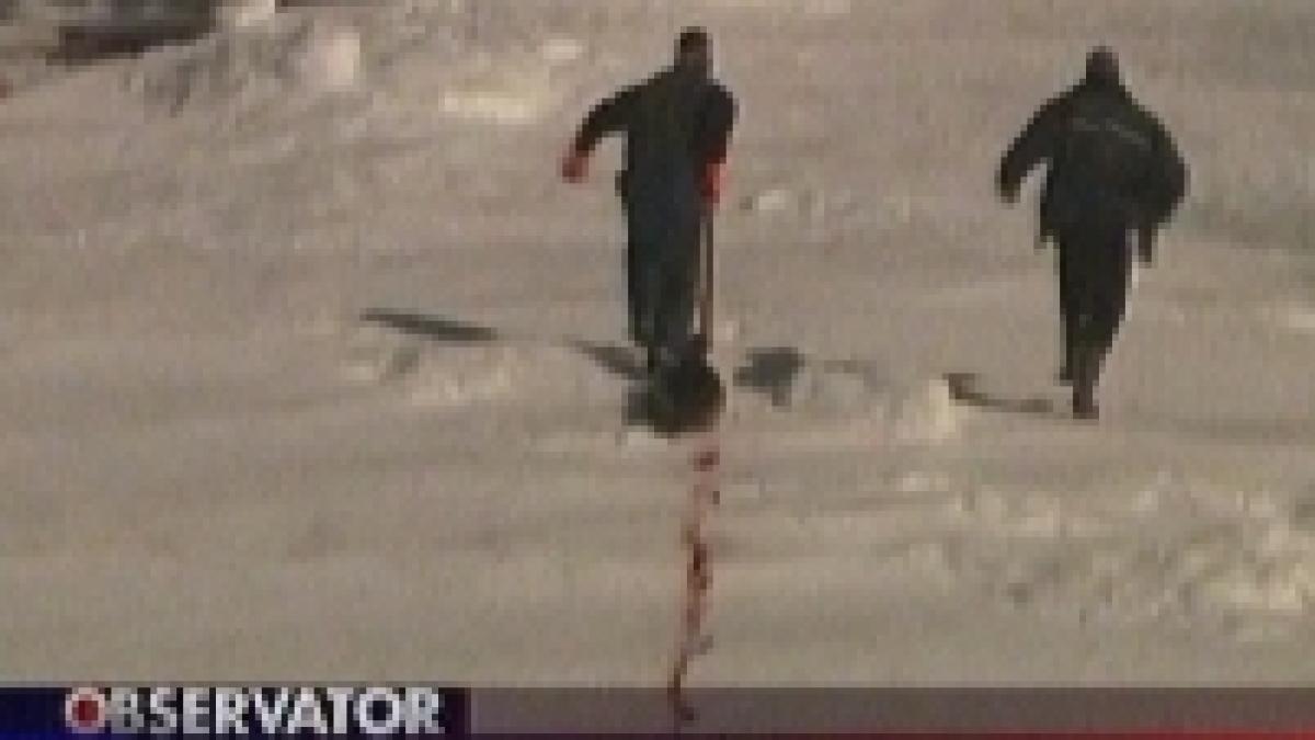 vanatoarea anuala de foci provoaca scandal in canada imagini socante