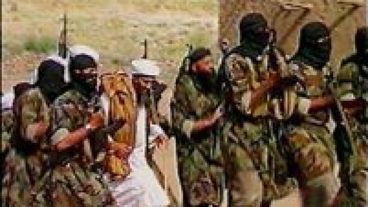 o baza al qaida a fost descoperita pe o insula de pe fluviul tigru