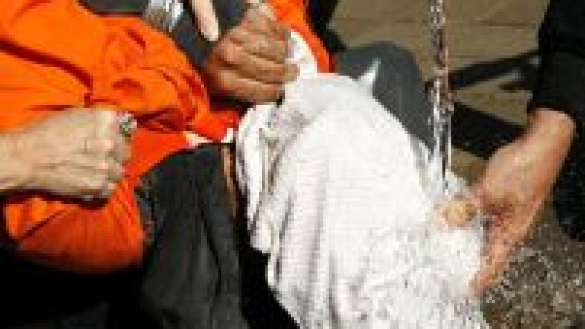 sua condoleezza rice si dick cheney au autorizat metodele inumane de torturare a prizonierilor