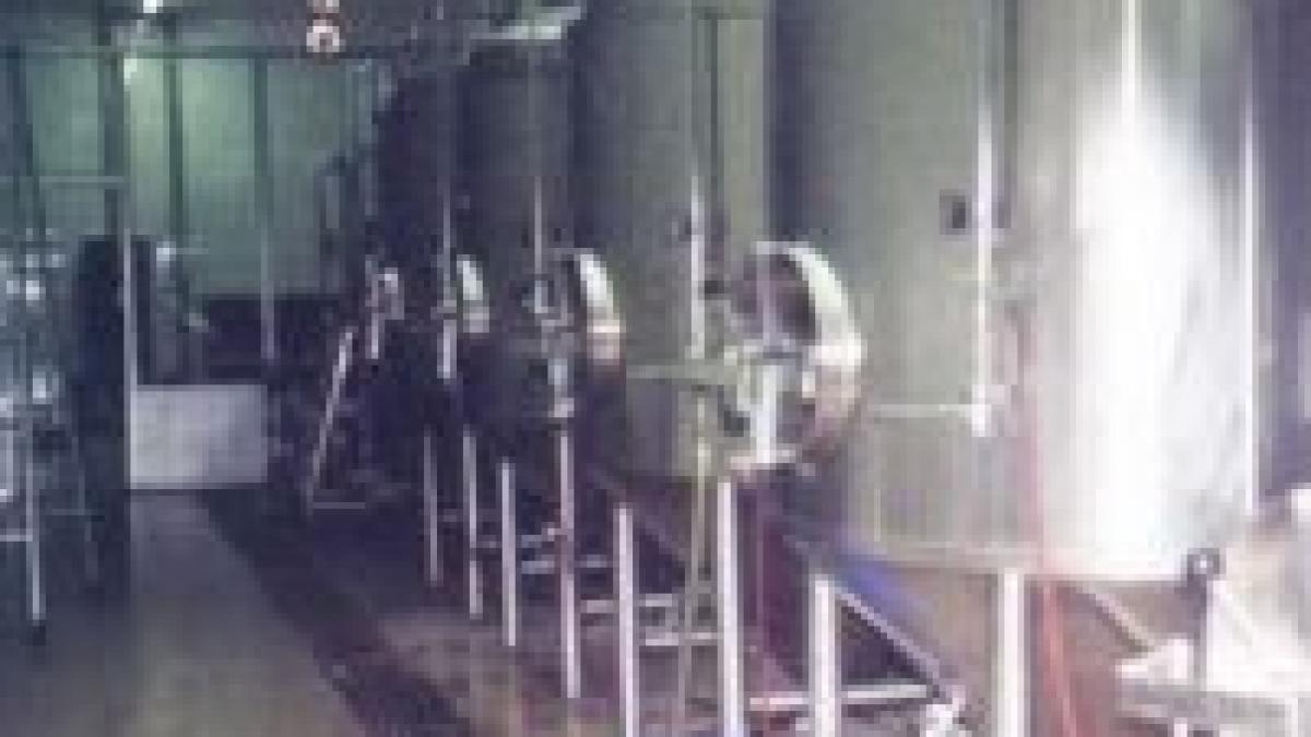 borsec investeste 15 milioane de euro in promovarea marcii de bere