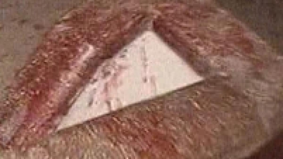 un pitestean a lovit un politist cu toporul incercand sa isi omoare sotia