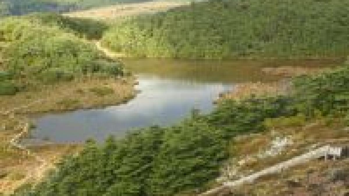 tragedie in noua zeelanda sase elevi si un profesor au murit in urma unei viituri