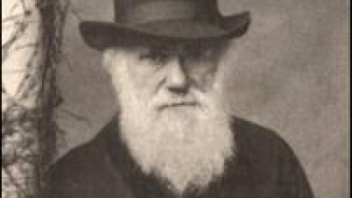 darwin pe internet primul manuscris al teoriei evolutiei este disponibil online