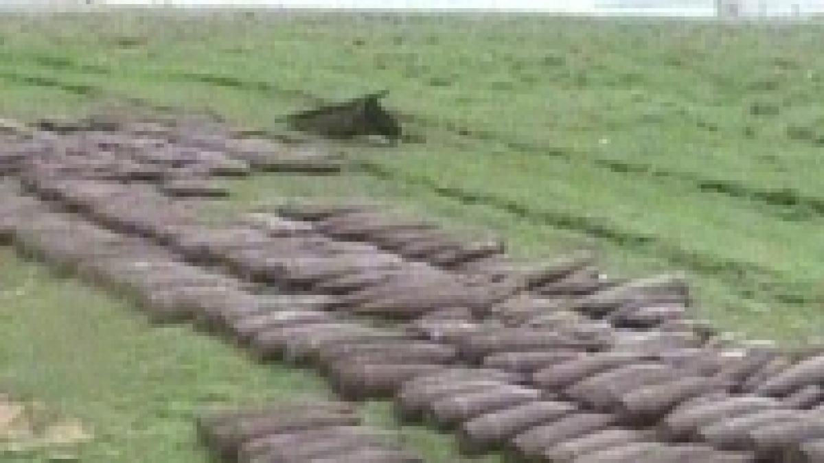 pirotehnistii au distrus la salaj 600 de kilograme de munitie video