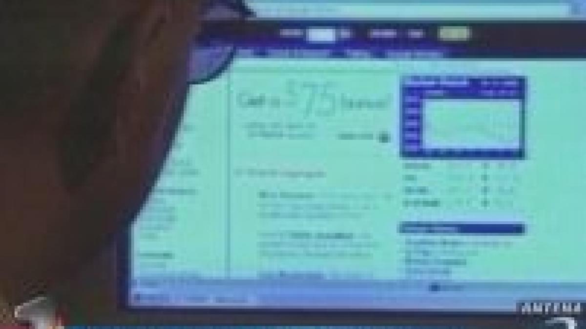 ebay saluta arestarea hackerului vladutz pe cand o oferta