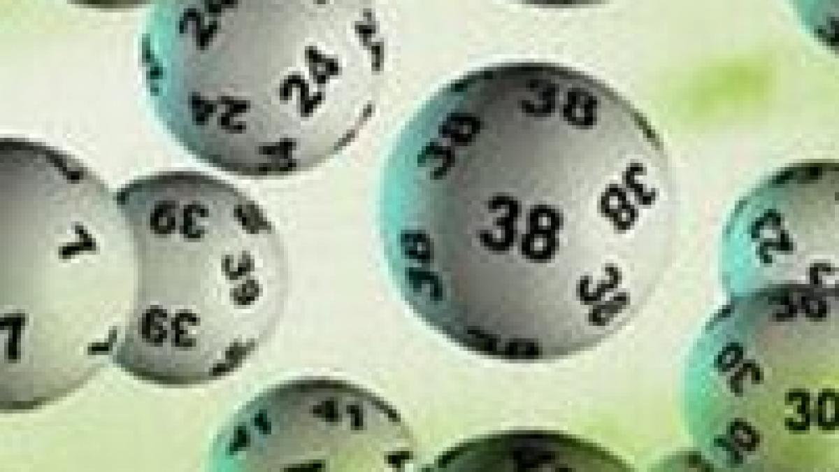 loto 6 din 49 iepurasul aduce un premiu de peste 5 3 milioane de euro la categoria i