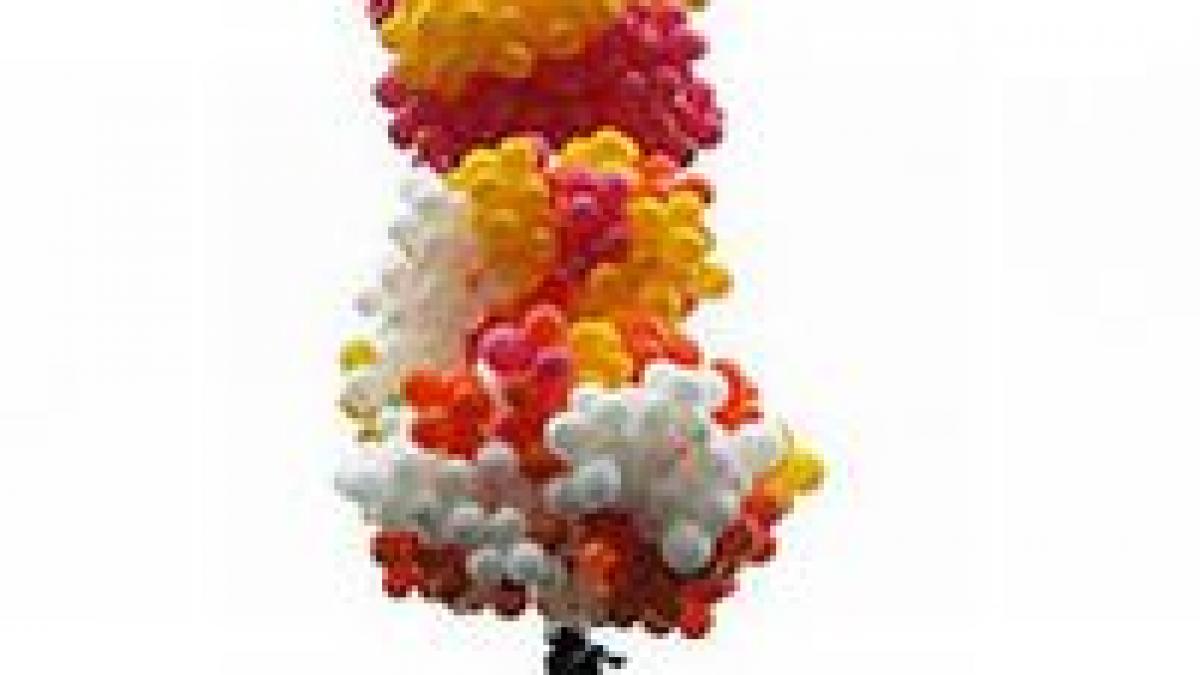 preotul zburator dat disparut de autoritatile braziliene