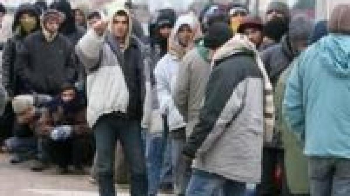 anglia o organizatie cere anularea restrictiilor impuse muncitorilor romani