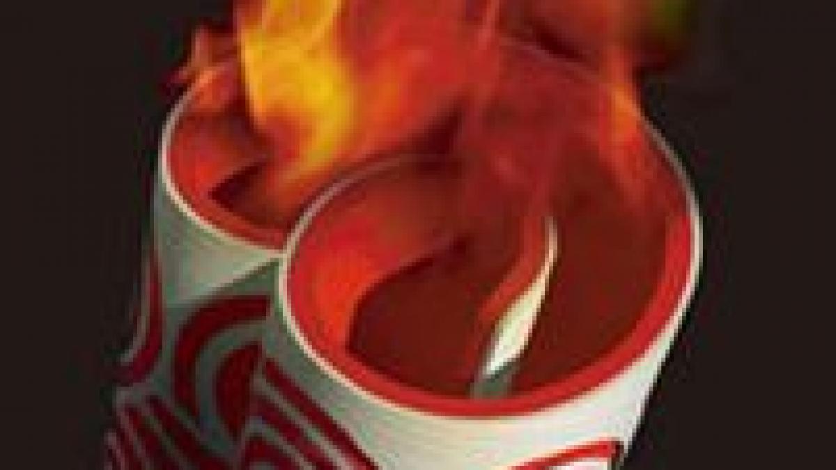 flacara olimpica a ajuns in japonia