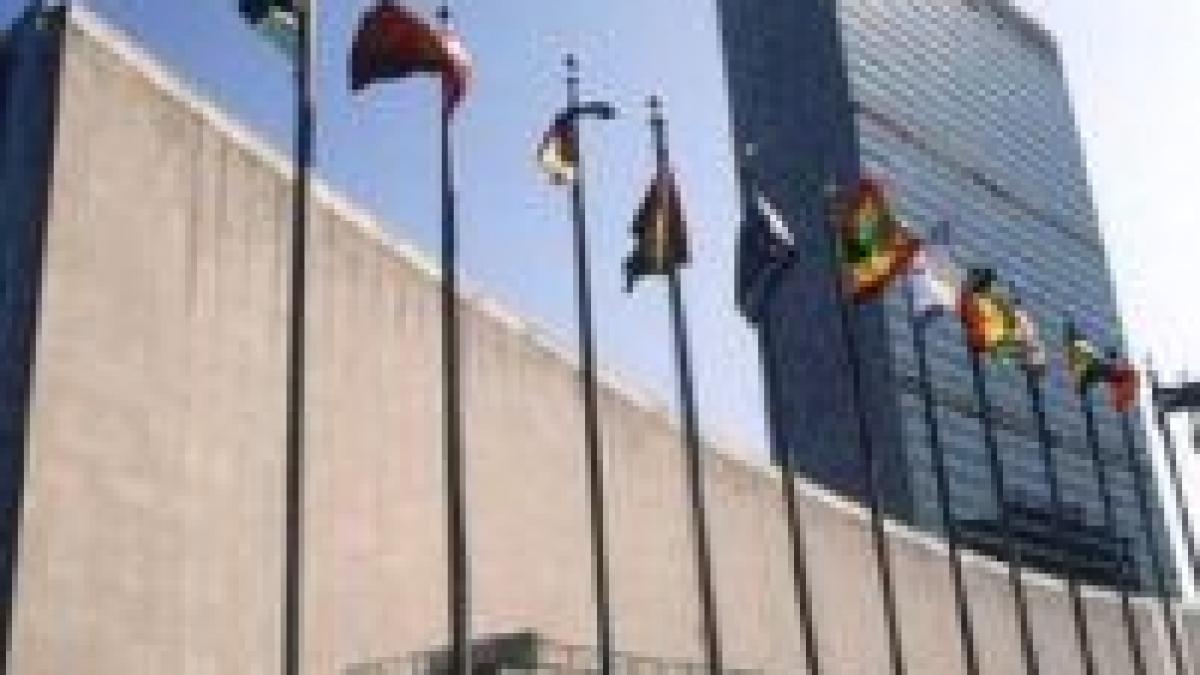 onu ia masuri impotriva crizei globale a alimentelor