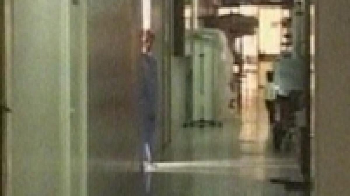 subnutriti si batuti de parinti trei copii au ajuns la spital de paste