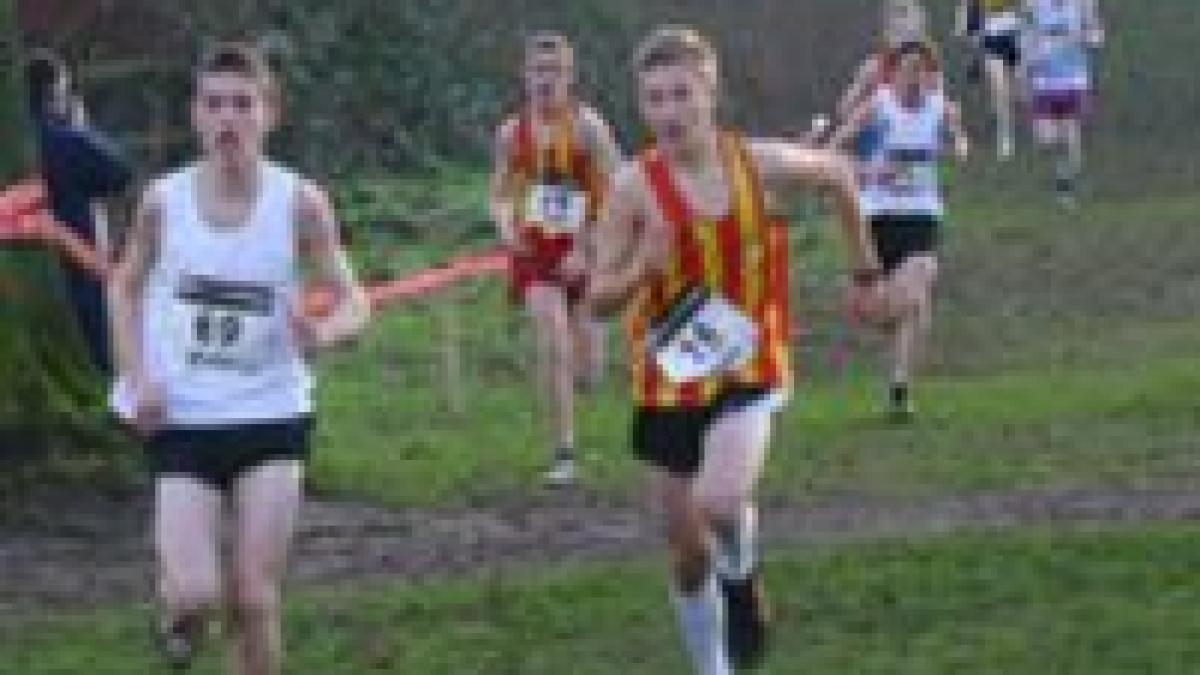 19 orase din romania organizeaza noaptea alba