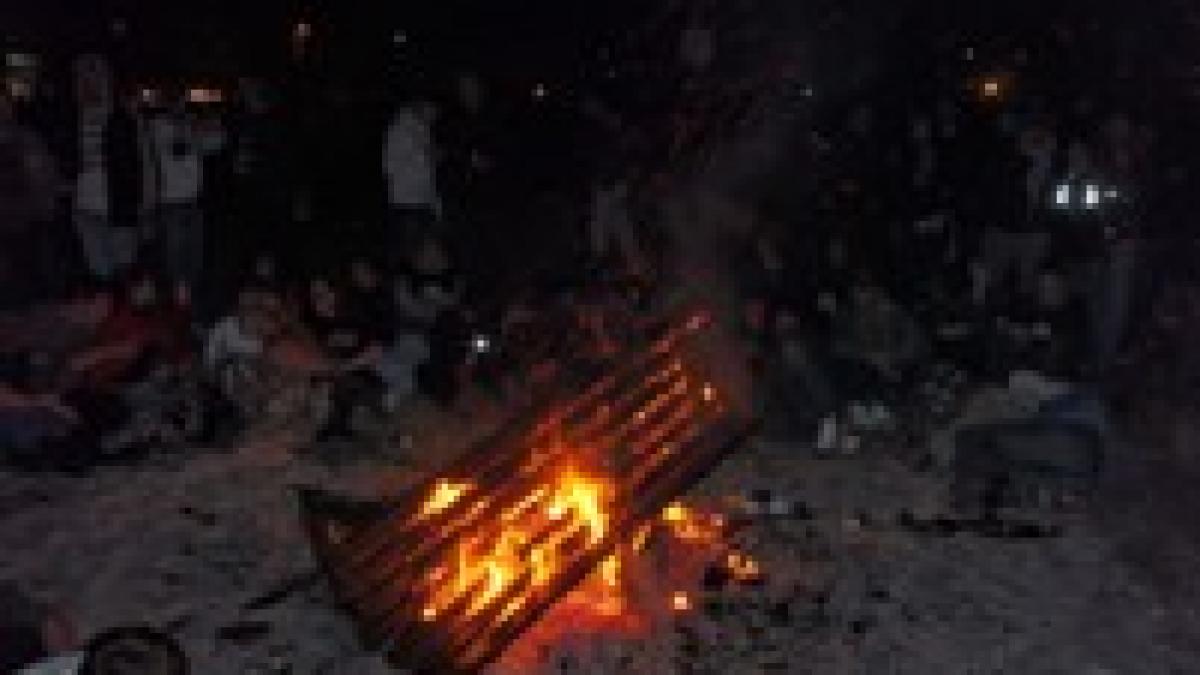 libertate frate petrecere pe plaja din vama veche foto si video