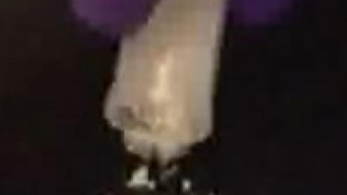 praful magic medicamentul ce reface partile corpului afectate de taieturi