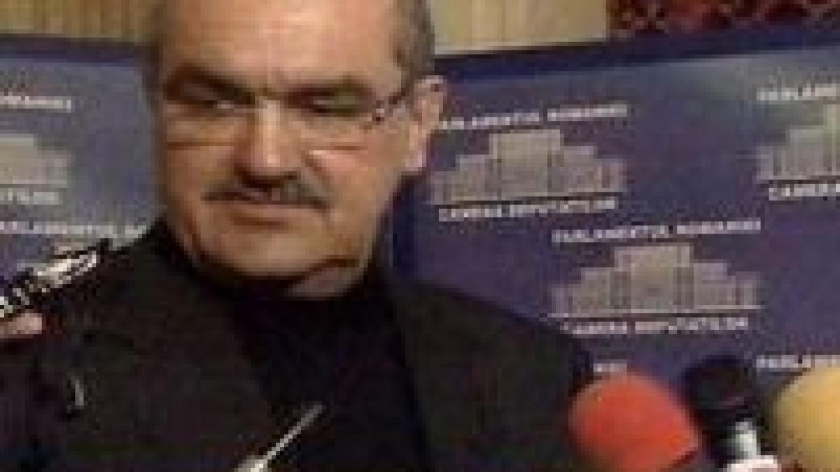 Cazurile Mitrea şi Năstase vor fi analizate de o subcomisie formată din şapte raportori