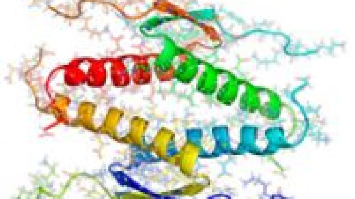 cercetatorii au descoperit un scut pentru gena anti cancer din corp