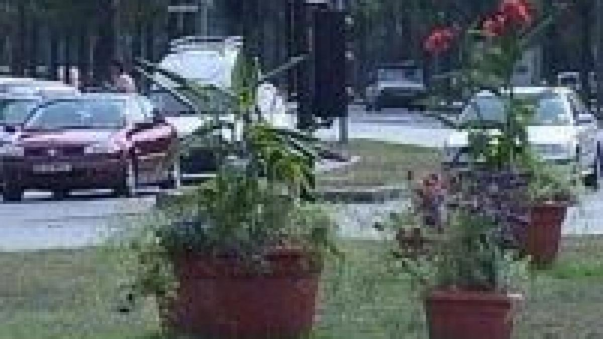 bucurestiul intra in randul capitalelor care au o harta verde