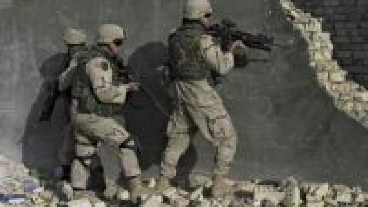 soldatii americani morti in irak si afganistan incinerati intr o instalatie pentru animale de