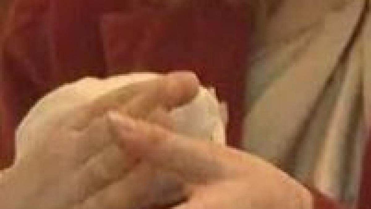 o profesoara de desen mutilata de un caine maidanez video