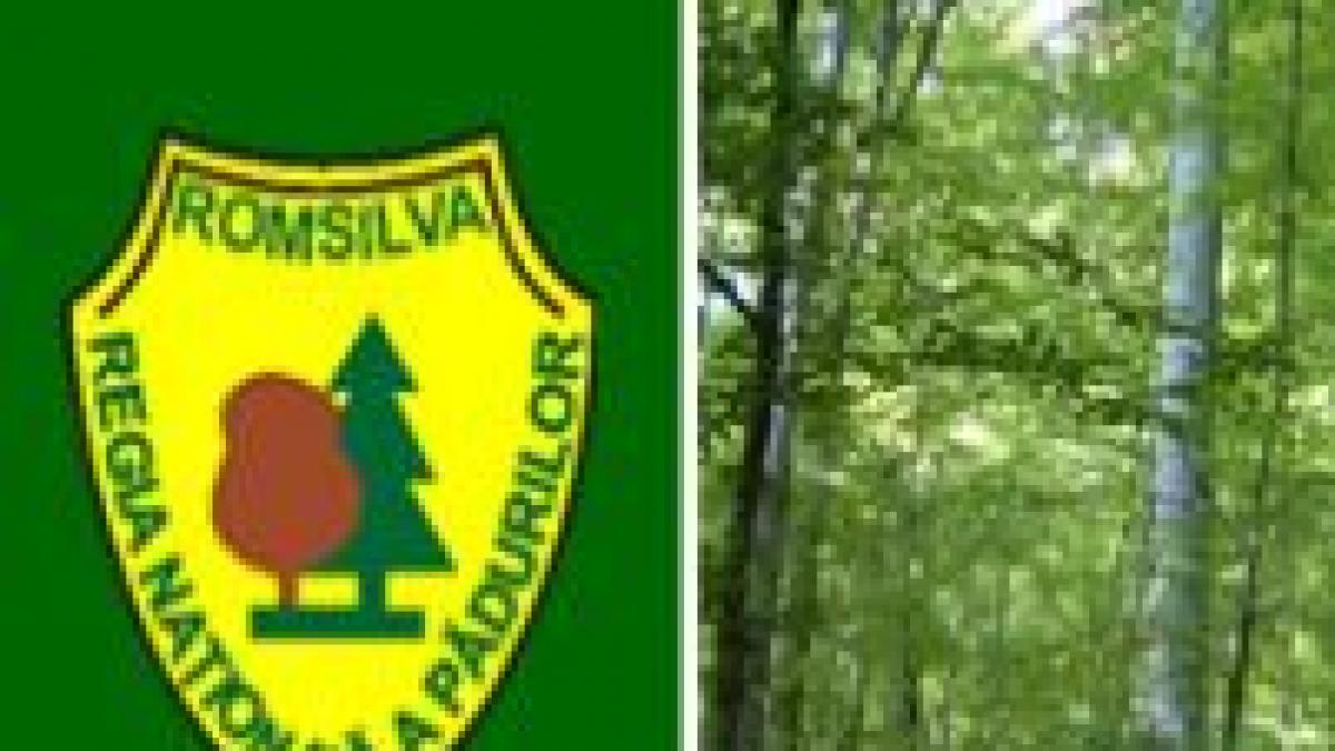 romsilva se reorganizeaza pentru a atrage fonduri europene