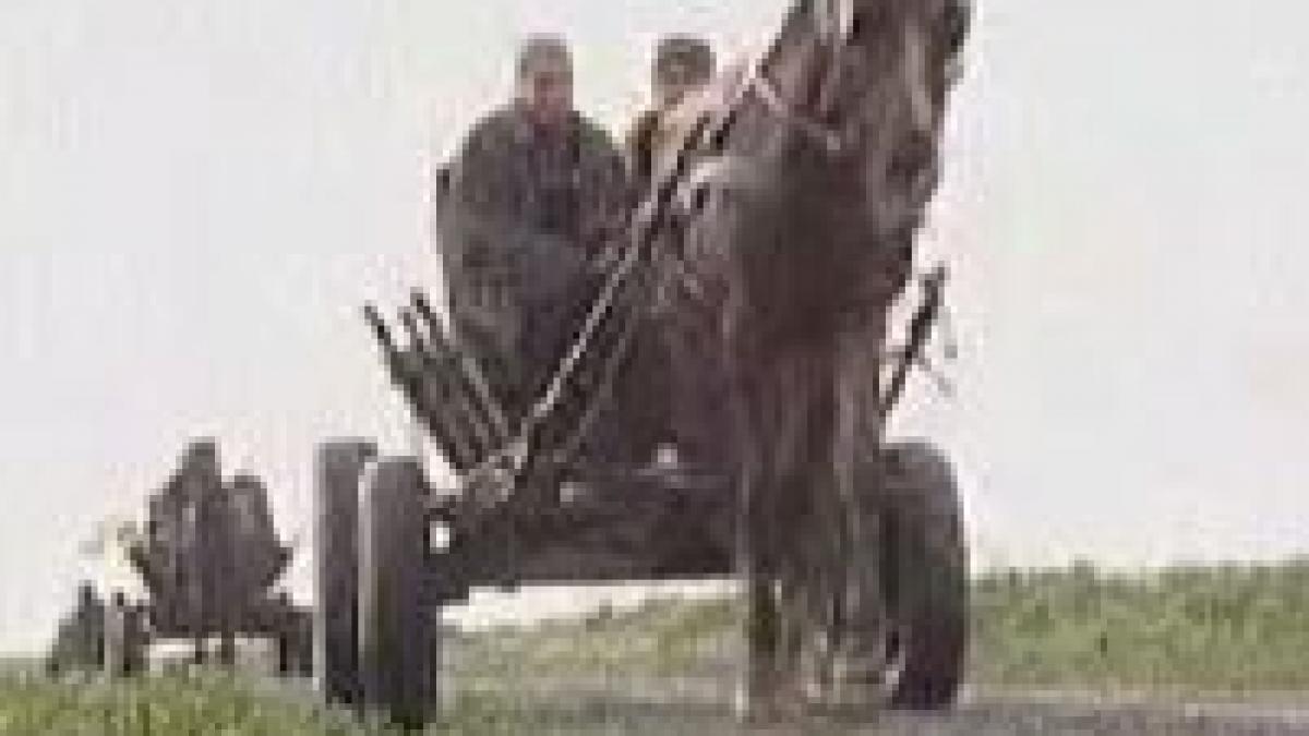 calarasi satenii din sohatu vor sa si transforme satul in oras video