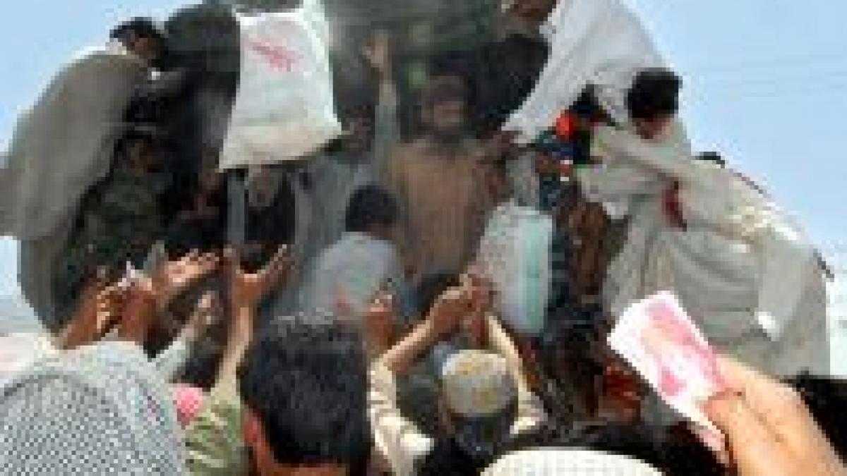 criza preturilor la alimente foametea cel mai mare pericol al secolului xxi