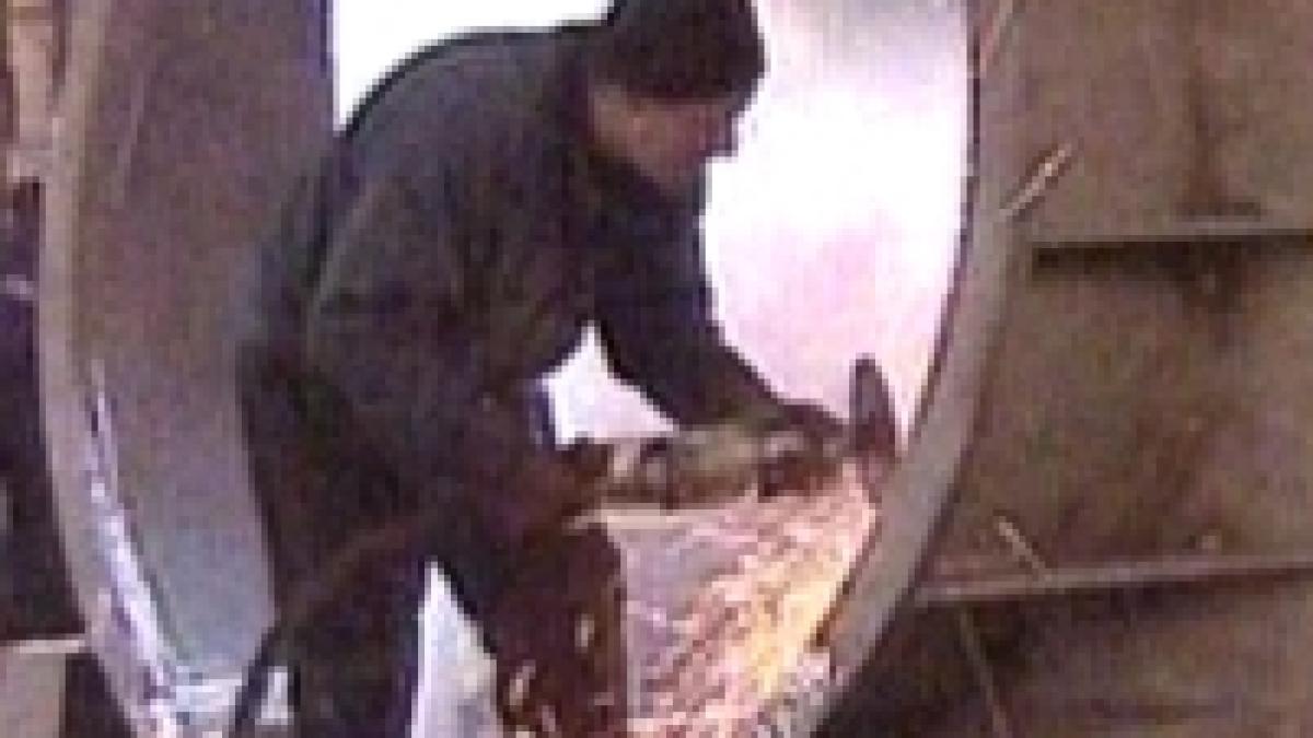 tariceanu discuta cu austriecii despre construirea unei fabrici de otel in zona marii negre