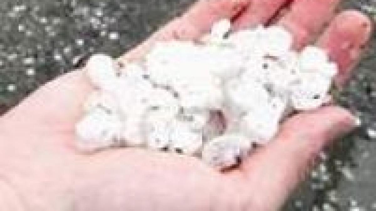 furtuna violenta la piatra neamt