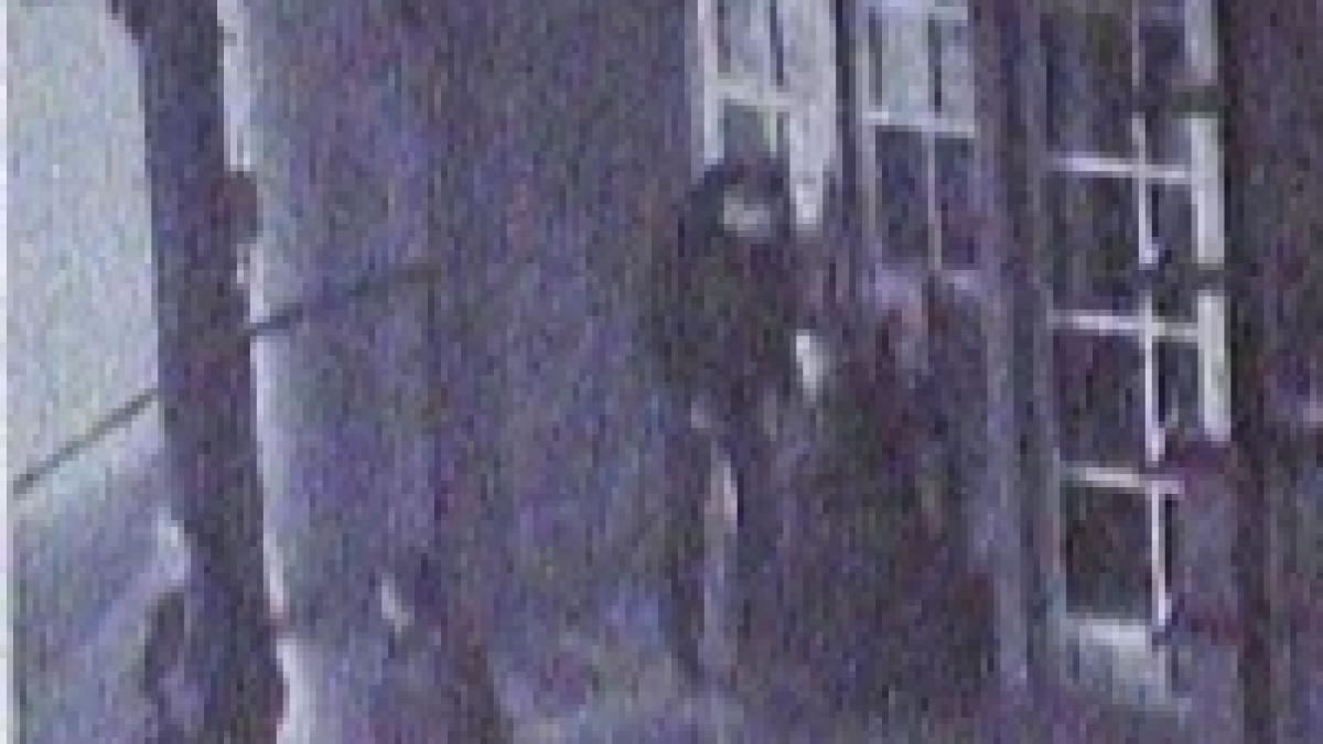 patru cetateni maghiari prinsi in timp ce spargeau un bancomat