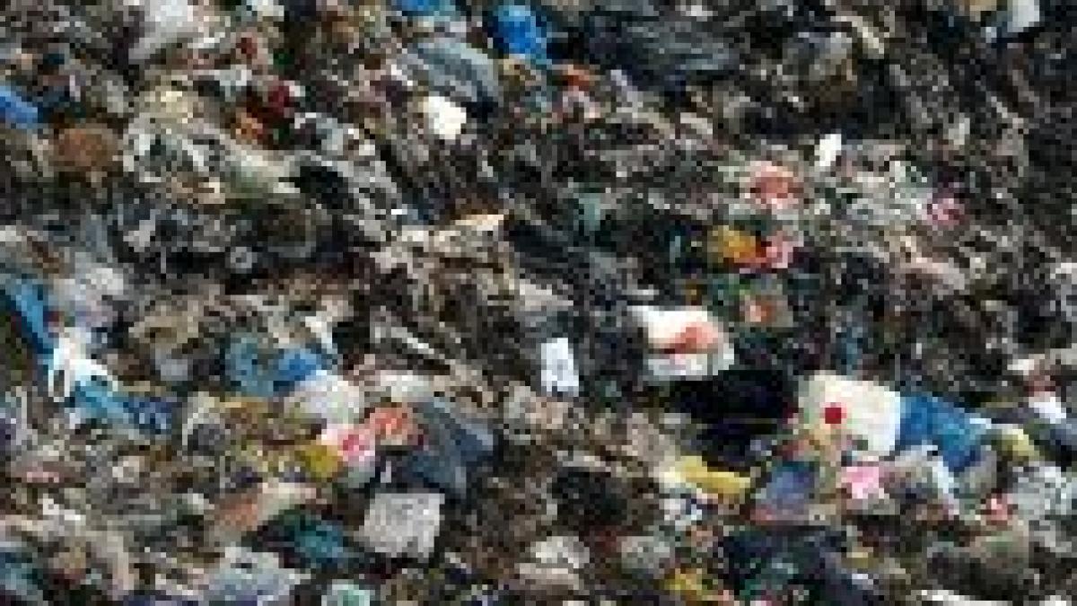 o familie din napoli a cerut azil sanitar din cauza gunoaielor