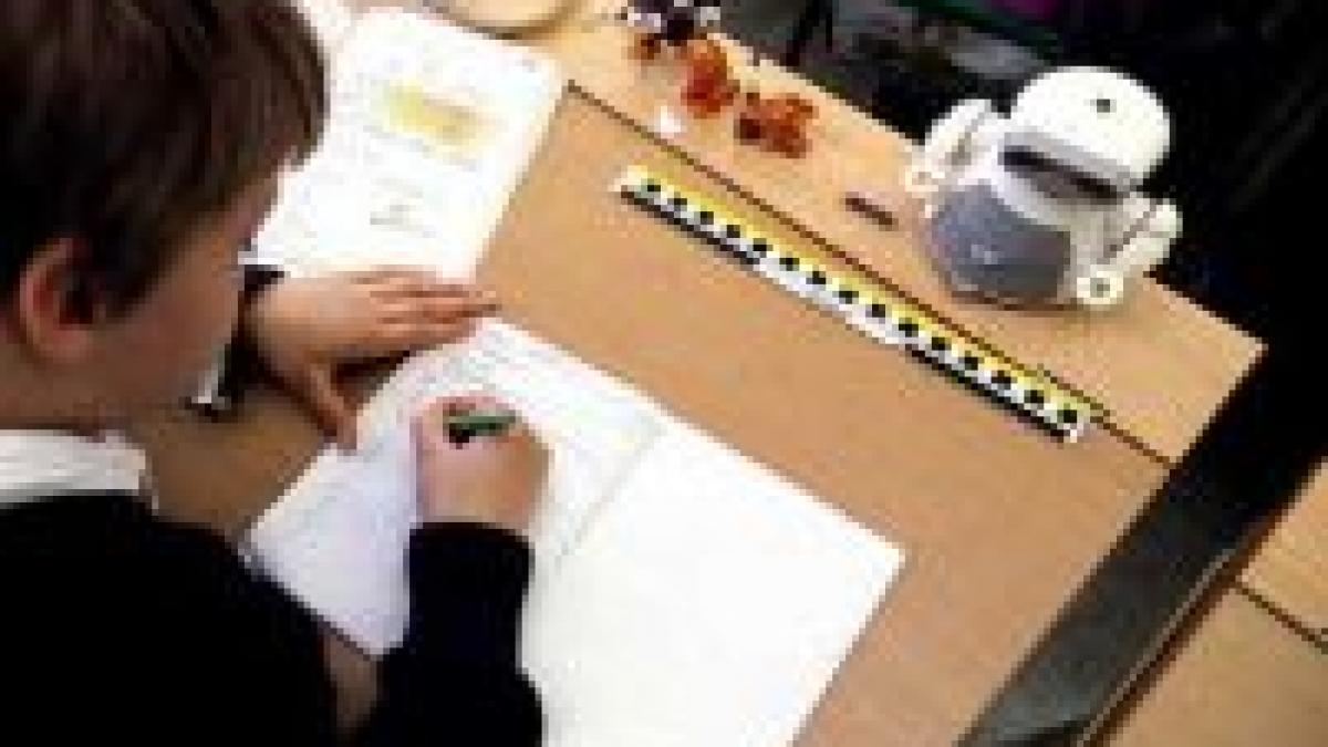 o profesoara din drobeta turnu severin a transmis tbc la 50 de elevi video