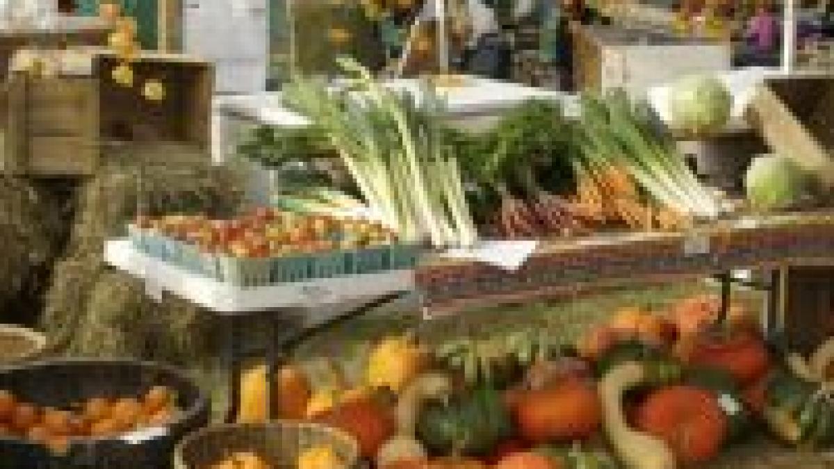 importurile de alimente vor costa in 2008 peste 1000 miliarde de dolari la nivel global