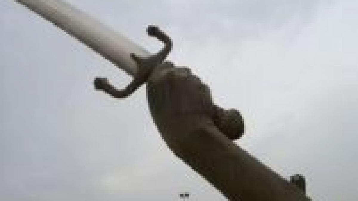 indienii brazilieni isi apara mediul de viata cu sabiile