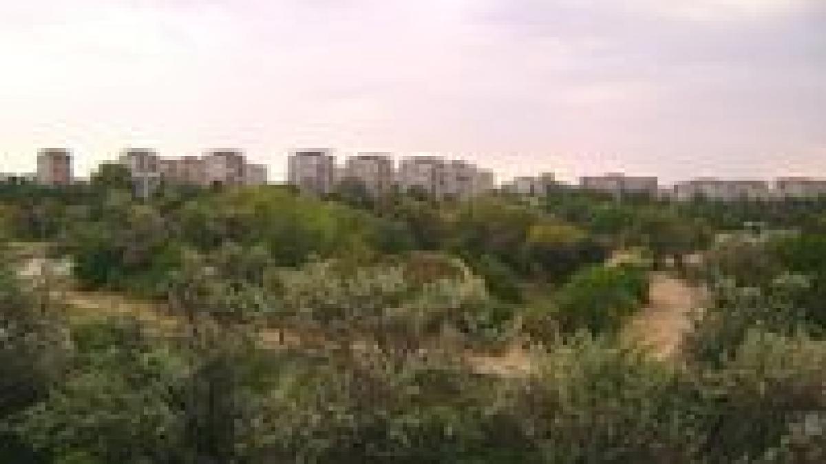 ambitii imobiliare in parcul ior baza sportiva spartac va fi transformata in mall