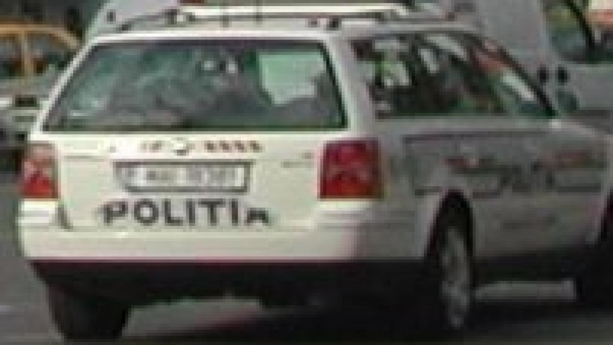 politistii comunitari din craiova lipesc afise electorale