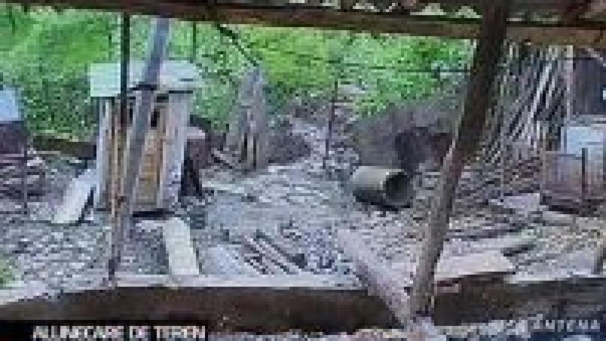 dambovita mai multe case sunt puse in pericol de alunecarile de teren din valea leurzii