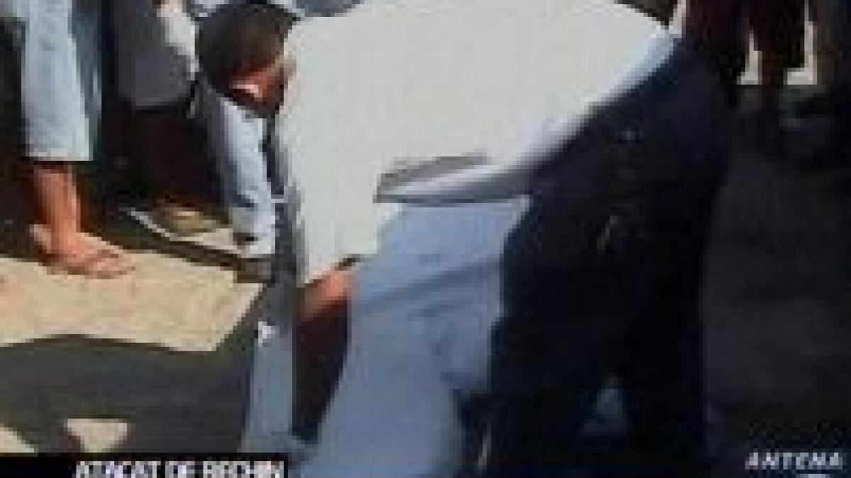 un tanar de 21 de ani a fost ucis de un rechin in apele din apropierea unei plaje mexicane