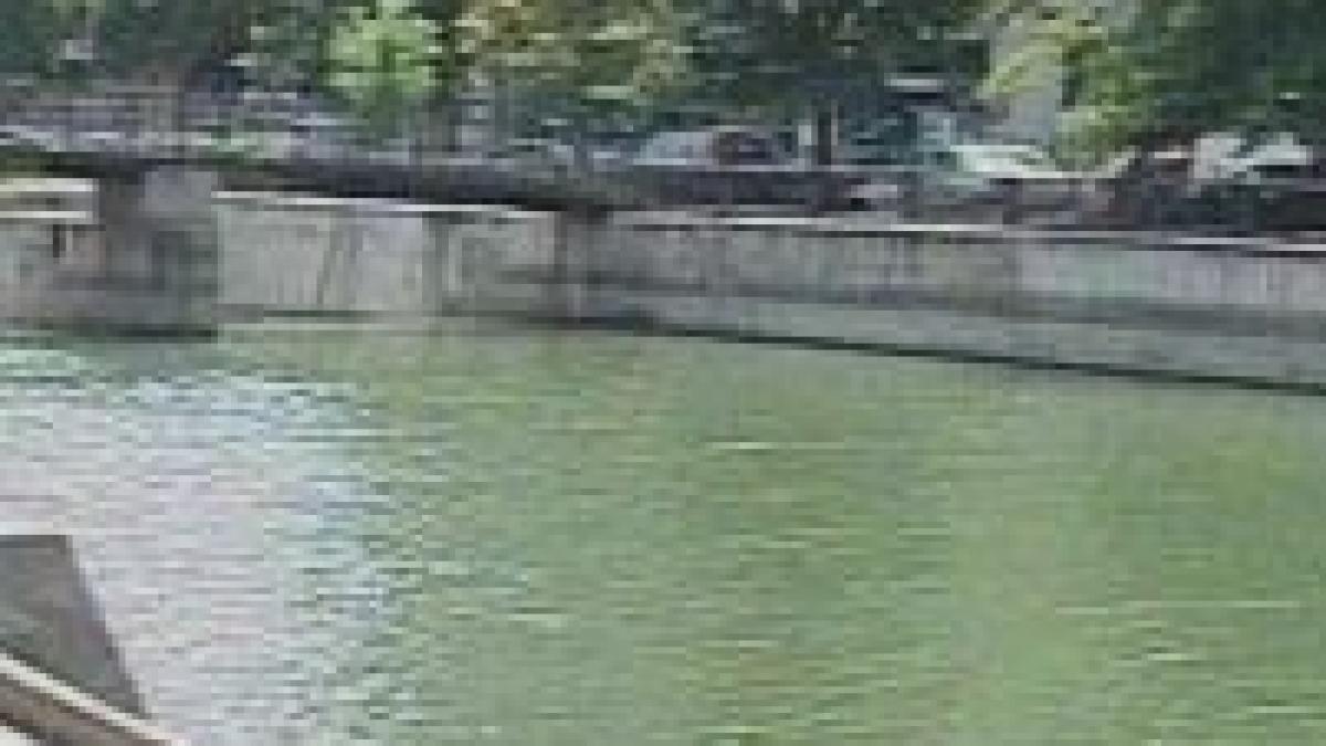 cadavrul unei femei decapitate a fost descoperit in dambovita