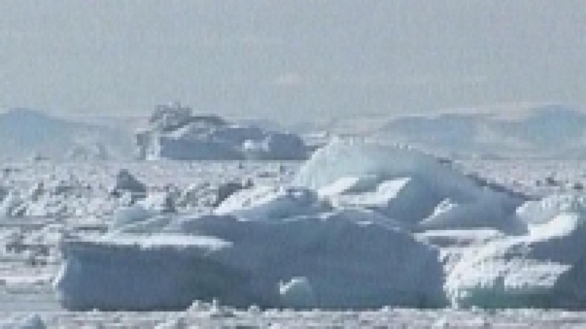 groenlanda tarile din zona polara vor coopera pentru protejarea mediului natural