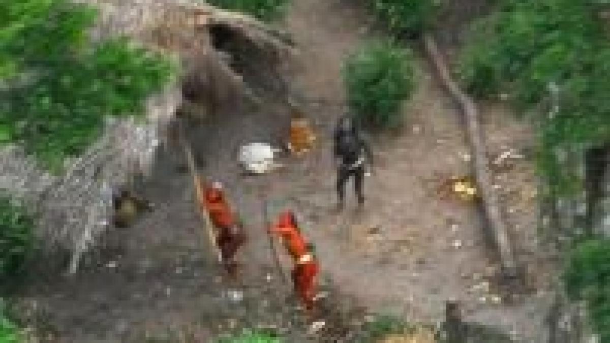 brazilia un trib care nu a intrat in contact cu civilizatia fotografiat in amazon foto
