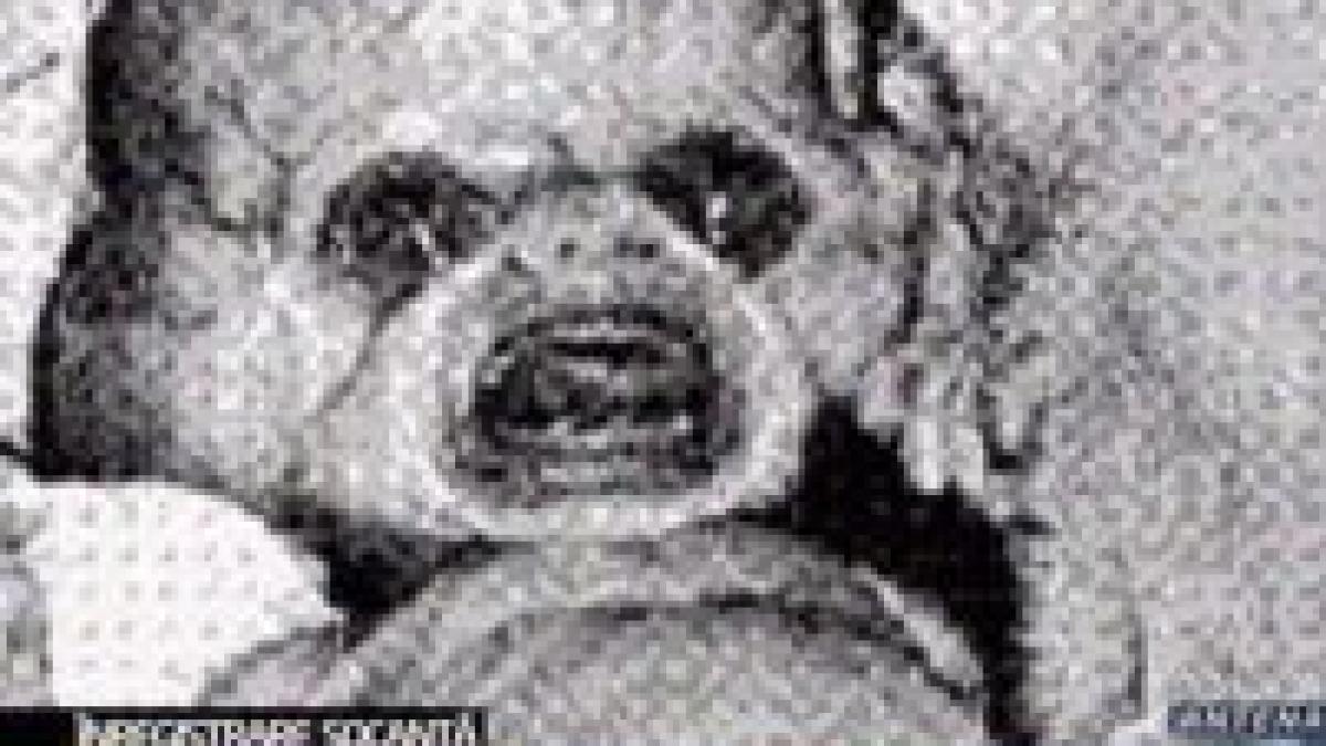 extraterestrii exista un american sustine ca i a filmat de aproape