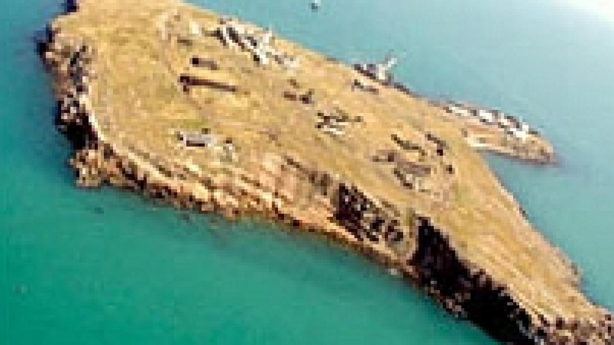 insula serpilor devine zona turistica