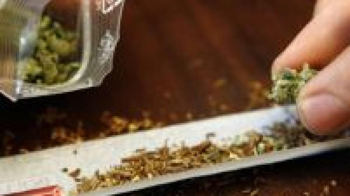 canabisul micsoreaza parti ale creierului si influenteaza memoria si emotiile