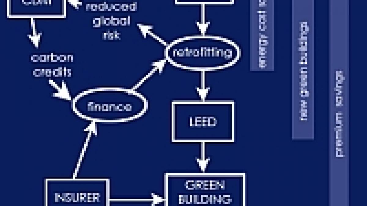 bbc creditele de carbon acordate de onu pentru reducerea emisiilor de gaze in neregula