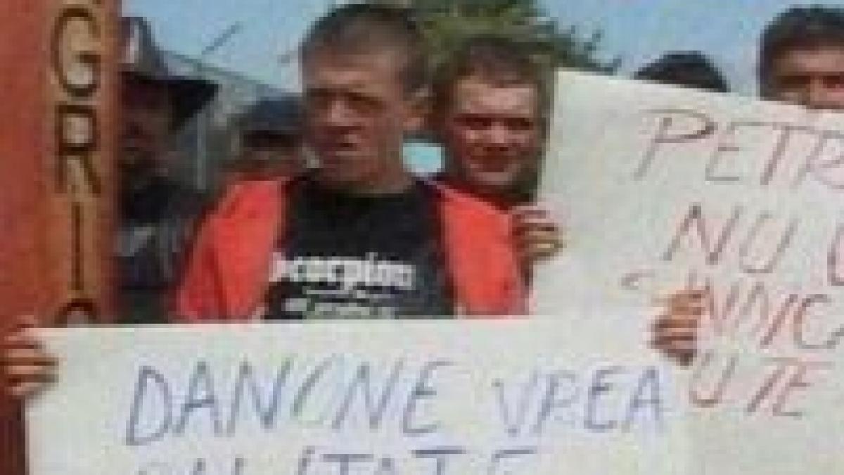 Protest în Capitală. Fermierii pichetează sediul unei fabrici de lactate