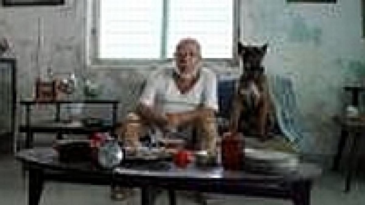 filmele de la tiff vor putea fi urmarite si in bucuresti si sibiu