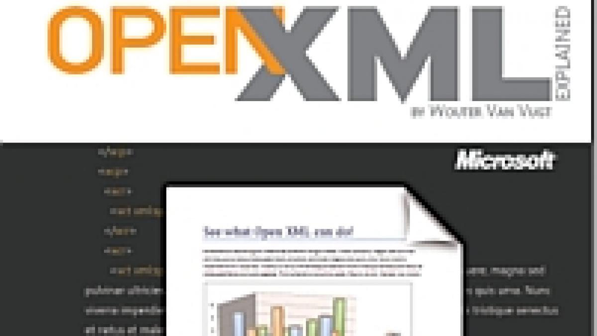 patru tari contesta aprobarea formatului de documente openxml de catre iso