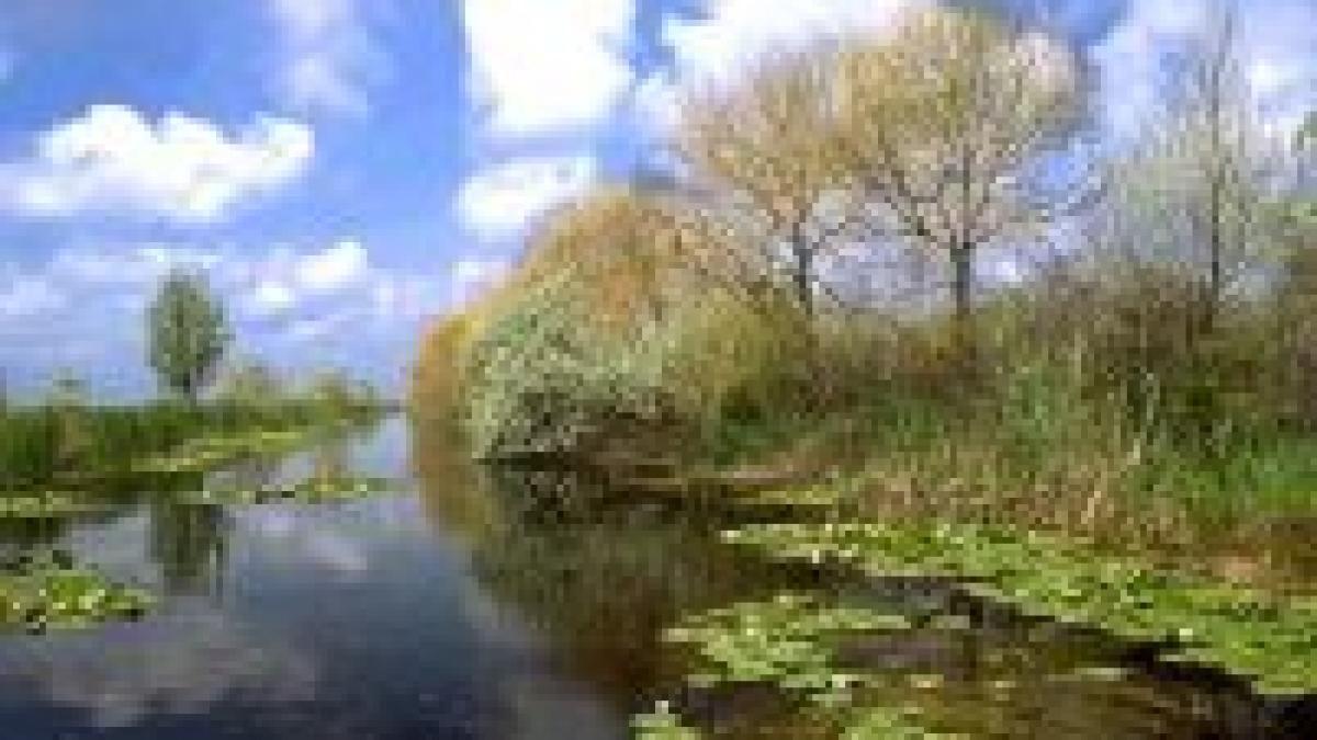 hotelurile cu peste 20 de camere vor fi interzise in rezervatia biosferei delta dunarii