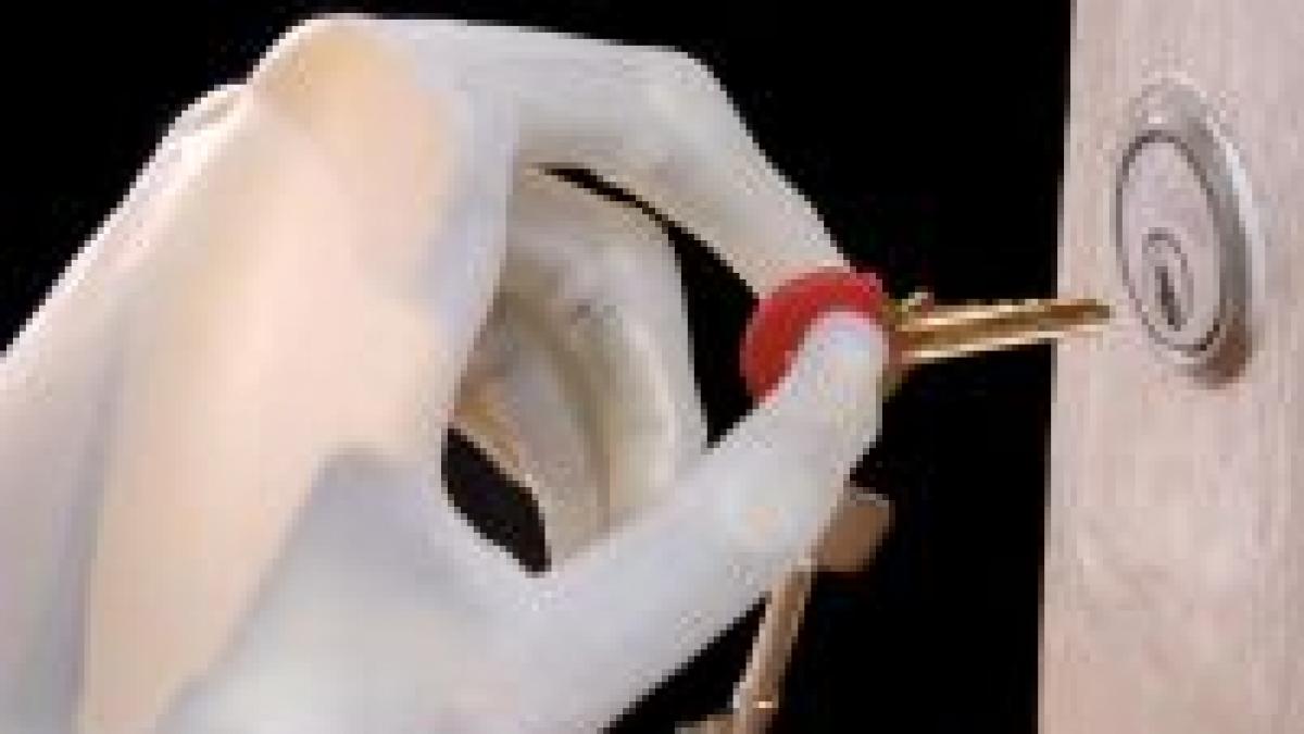 i limb cea mai avansata mana bionica din lume